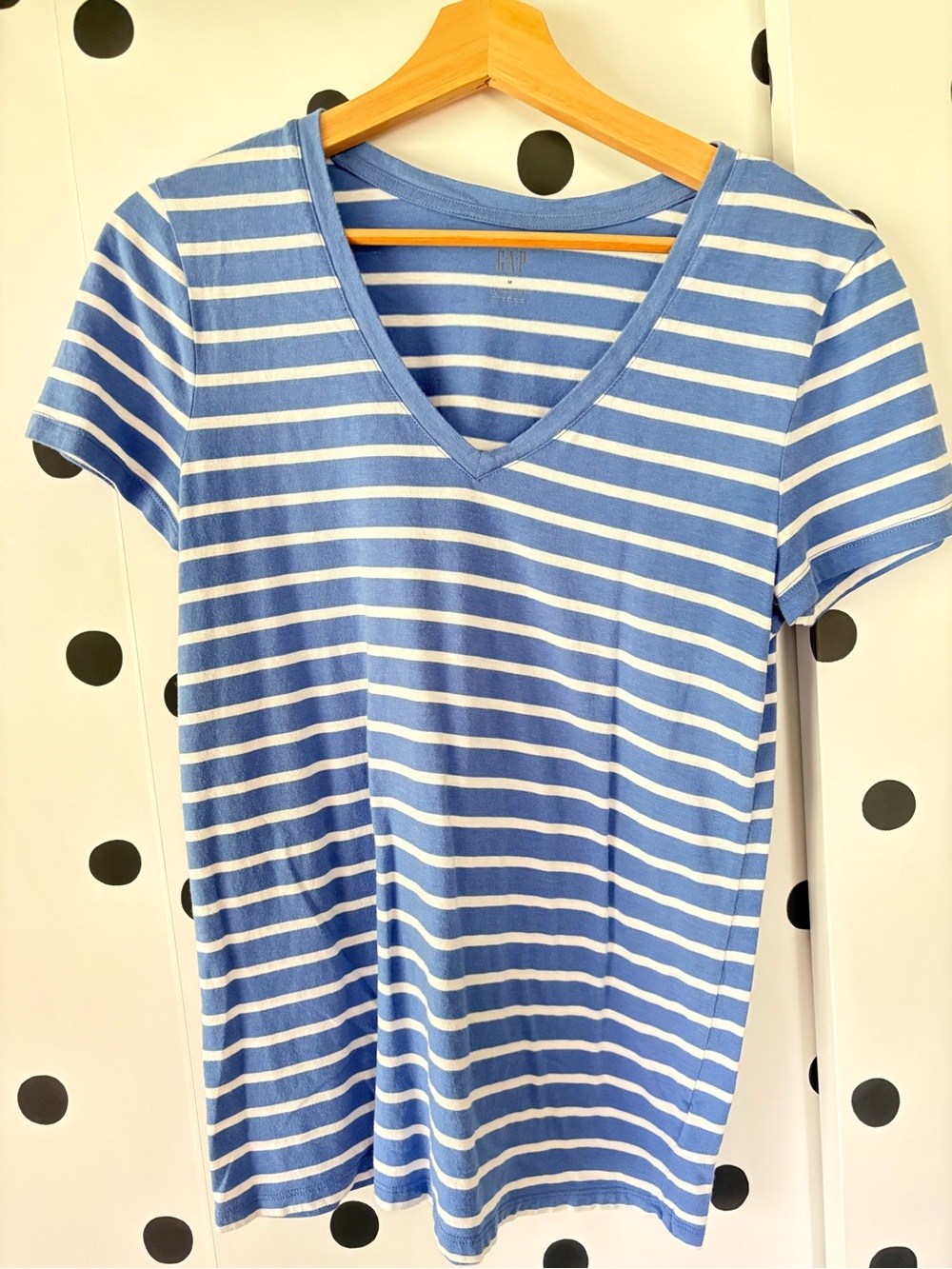 GAP Blue and White Striped V-Neck Tee